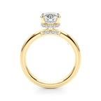 Crown Hidden Halo $1299
