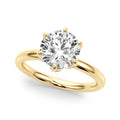 6 Prong Hidden Halo Magic $1795