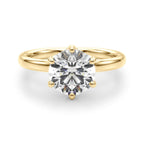 6 Prong Hidden Halo Magic $1795