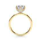 6 Prong Hidden Halo Magic $1795