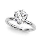 6 Prong Hidden Halo Magic $1795