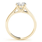 Oval Trellis $797.00