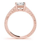 Antique Princess-A Top Ten Best Value!