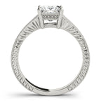 Antique Princess-A Top Ten Best Value!