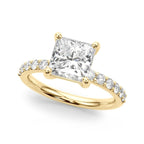 Princess & Diamond Accents  2.86 carat Regular $4450 NOW 2450.00 (Diamond and Setting)