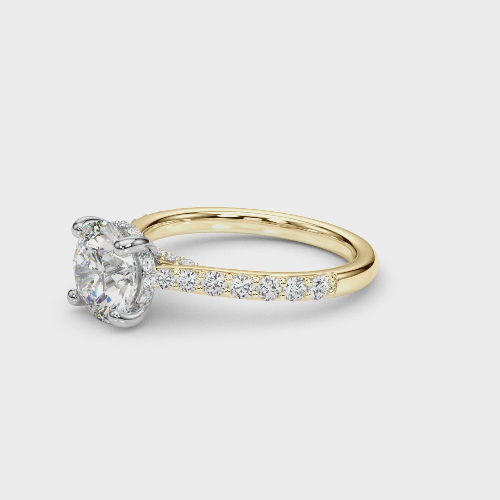 Destiny  Hidden Halo $1799.00