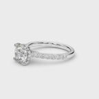 Destiny  Hidden Halo $1799.00