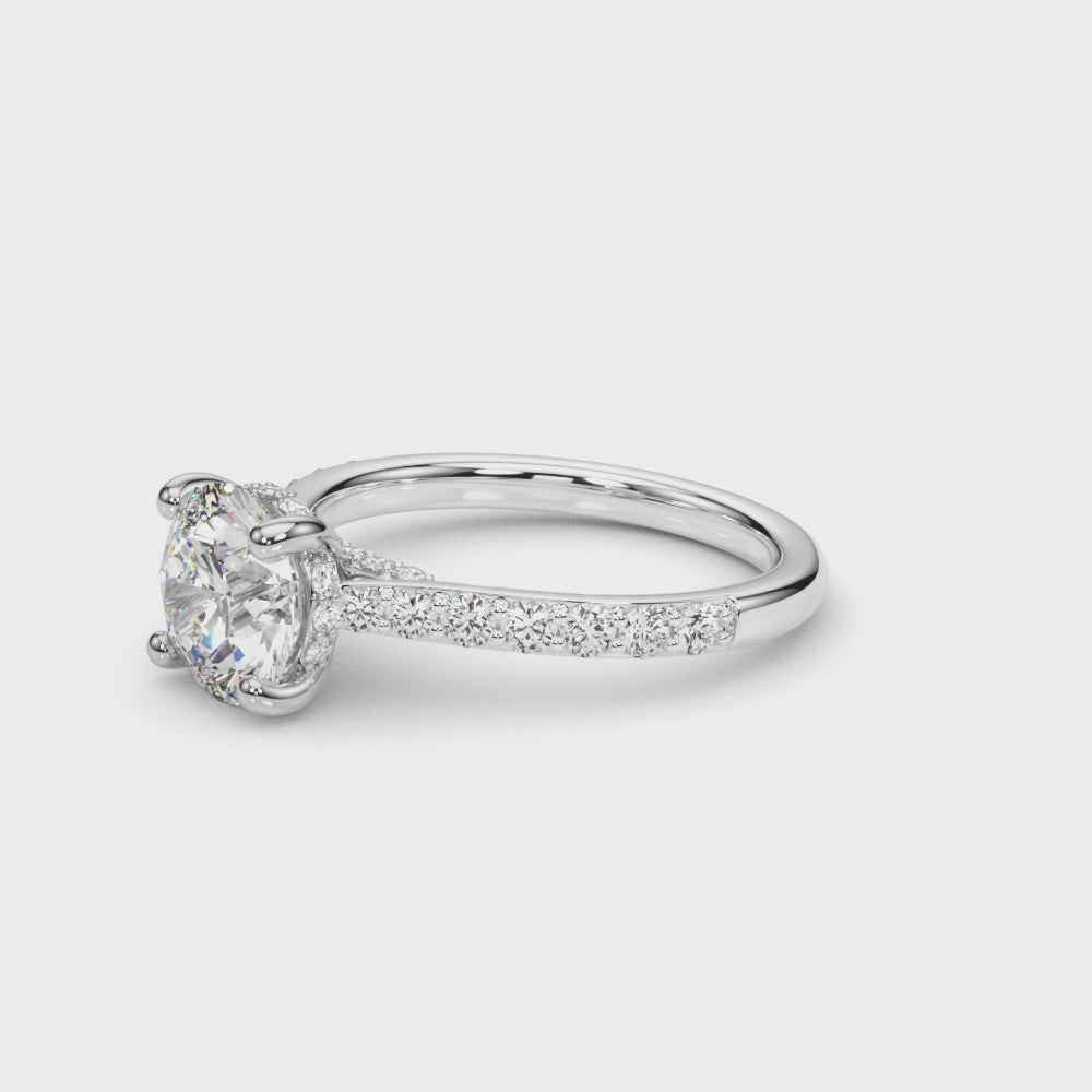 Destiny  Hidden Halo $1799.00